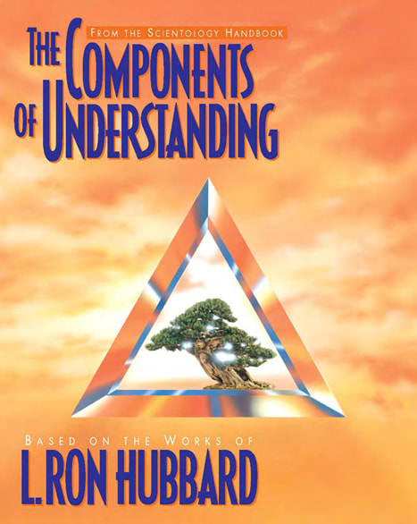The Components of Understanding Course